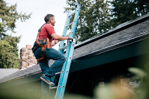 Best Green or Eco-Friendly Roofing Solutions  in South Hooksett, NH